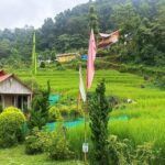 surrounding at chibbo retreat
