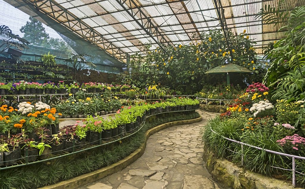 gangtok flower exhibition centre