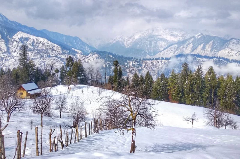 kufri-in-winter