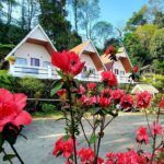 rishaan cottages